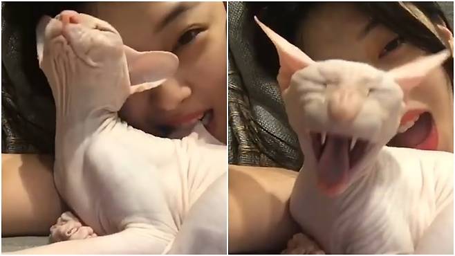 /사진=설리 인스타그램