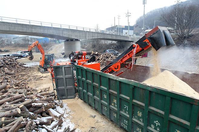재선충 감염목 파쇄작업. [중앙포토]