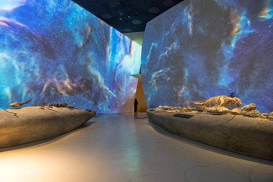 박물관 내부. 부족한 유물 대신, 카타르를 상징하는 영상물을 제작해 비정형 공간에 상영하고 있다. 사진 Iwan Baan