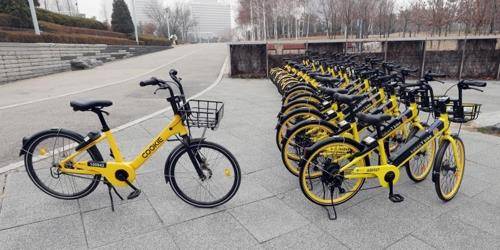 쿠키 자전거와 카카오T 바이크[연합뉴스 자료사진]