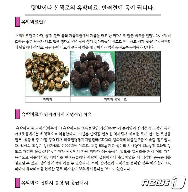 옥천군청에서 지난해 게시한 반려동물 산책시 주의 안내자료 (사진 옥천군청 홈페이지) © 뉴스1