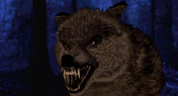 (이곳에 등장하는 늑대!)