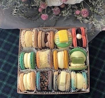 다양한 뚱카롱들. /인스타그램 캡쳐