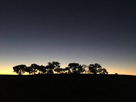 .서호주 퍼스 인근 왜디 부시 리조트 인근 들판 너머로 해가 졌다. 언덕너머 밝은 불빛이 석양이다. [사진 박수영]