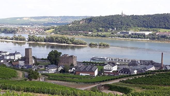 포도밭에서 굽어본 뤼데스하임 마을. 왼쪽의 정방형 탑이 부젠부르그성이고, 그 옆에 있는 갈색의 4각형 건물이 부룀저브로그 성이다.