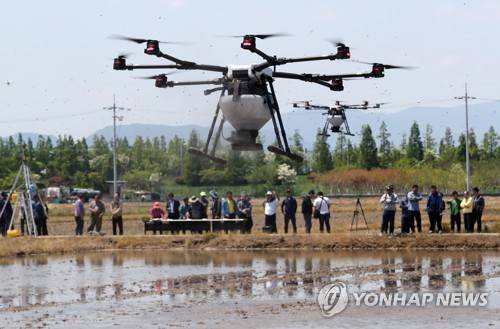 벼농사도 드론 시대 기사와 직접적 관련 없음 [촬영 손형주]