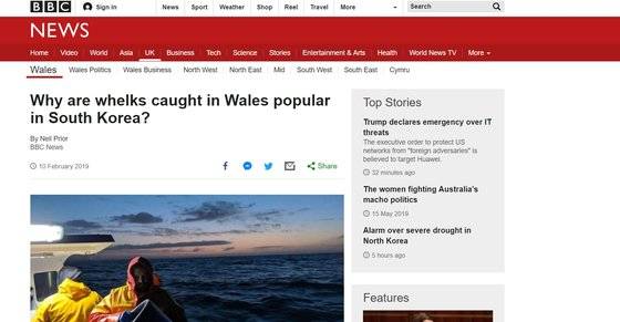 BBC는 골뱅이가 한국에서 aphrodisiac이라고 썼던 원래 제목을 '왜 한국에서 웨일즈 골뱅이가 인기일까'로 수정했다. [BBC 웹사이트 캡처]