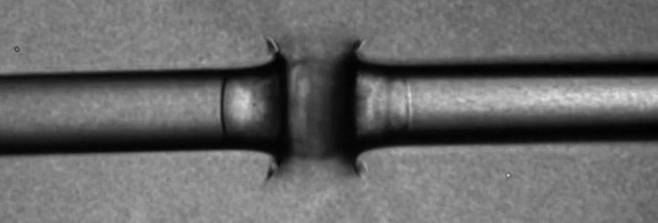 출처=Claudiu Stan/Rutgers University Newark