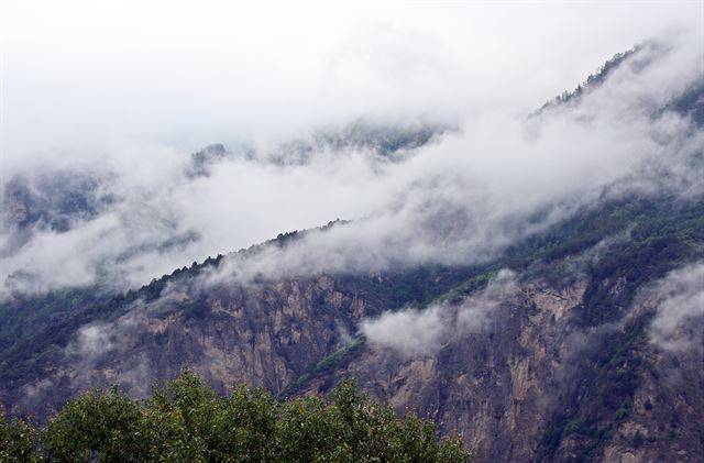 갑거장채의 아침 운무.