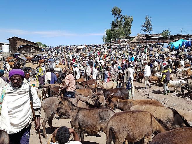 랄리벨라의 7일자 토요장터