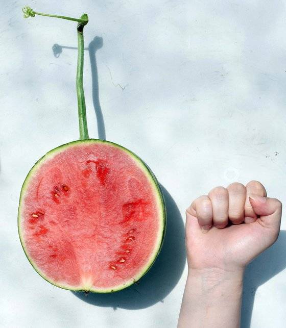 애플 수박과 성인 남자의 주먹과 비교한 모습. 애플수박은 사과처럼 껍질이 얇아 쉽게 칼로 깎아 먹을 수 있다. [사진제공=이마트]