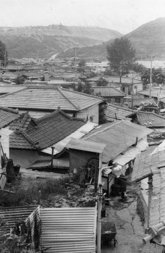 1991년 9월 서울 상암동 마을 뒤로 쓰레기 산이 만들어진 난지도 쓰레기 매립장의 모습이 보인다. [중앙포토]