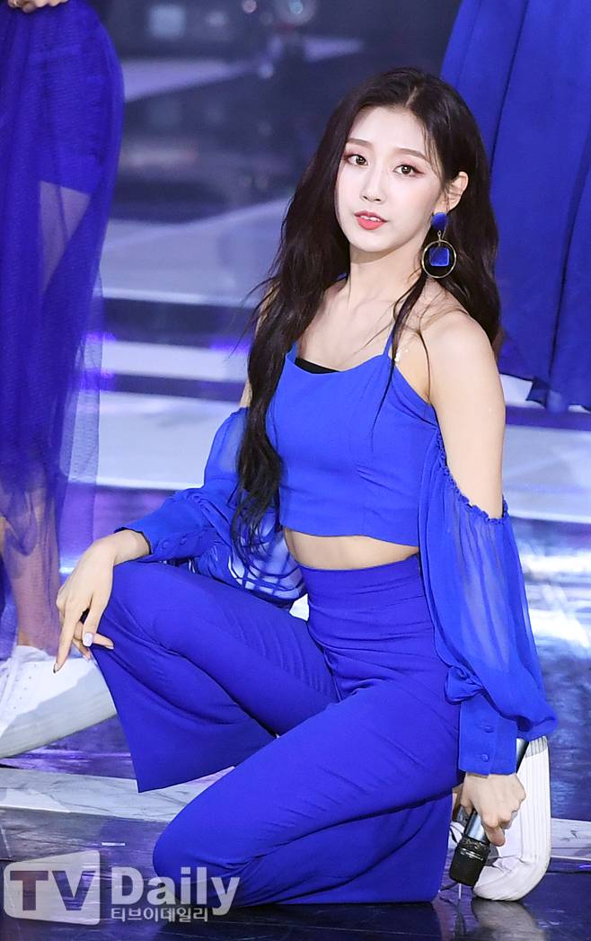 티브이데일리 포토