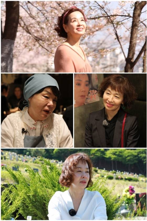 /사진제공=TV 조선