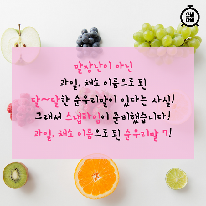 (이미지= 이미지투데이)