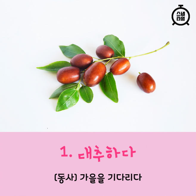 (이미지= 이미지투데이)