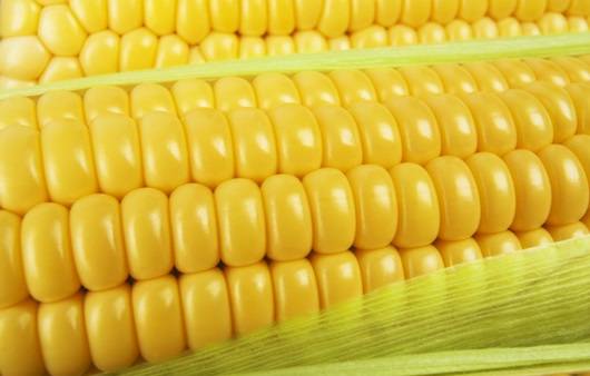 옥수수