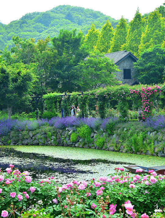일본 나가노현 가루이자와의 ‘가루이자와 레이크 가든’에 초여름 꽃들이 흐드러졌다. 각양각색의 꽃이 피어나는 아름다운 정원과 근사한 여름 별장이 호수와 어우러져 가장 화려한 여름 풍경을 보여주고 있다.