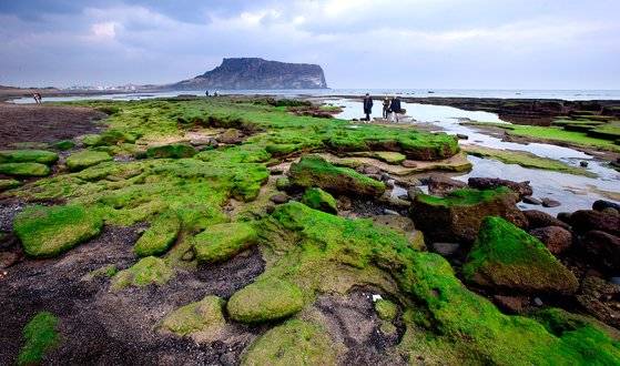 제주 광치기해변과 성산일출봉. [중앙포토]