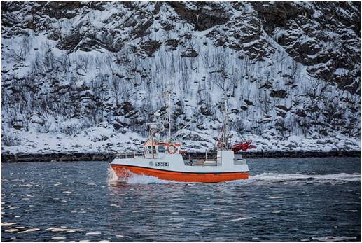 킹크랩이 자라는 바다 수온은 -1.8℃에서 5.5℃ 내외다