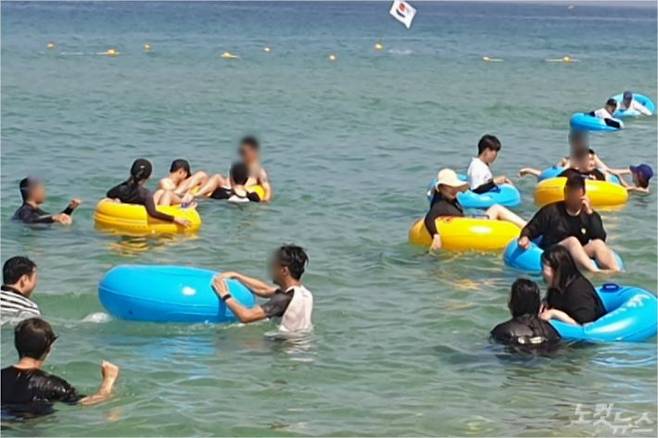동해안 해수욕장에서 물놀이를 즐기고 있는 피서객들. (사진=자료사진)