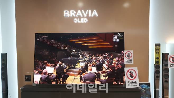 일본 전자 업체 소니(SONY)가 해외 시장에 판매 중인 OLED(유기발광다이오드) TV. 우리 정부가 일본에 OLED 패널 수출 등을 규제해 맞대응할 경우 사실상 OLED TV 생산이 어려워질 전망이다. (사진=김종호 기자)
