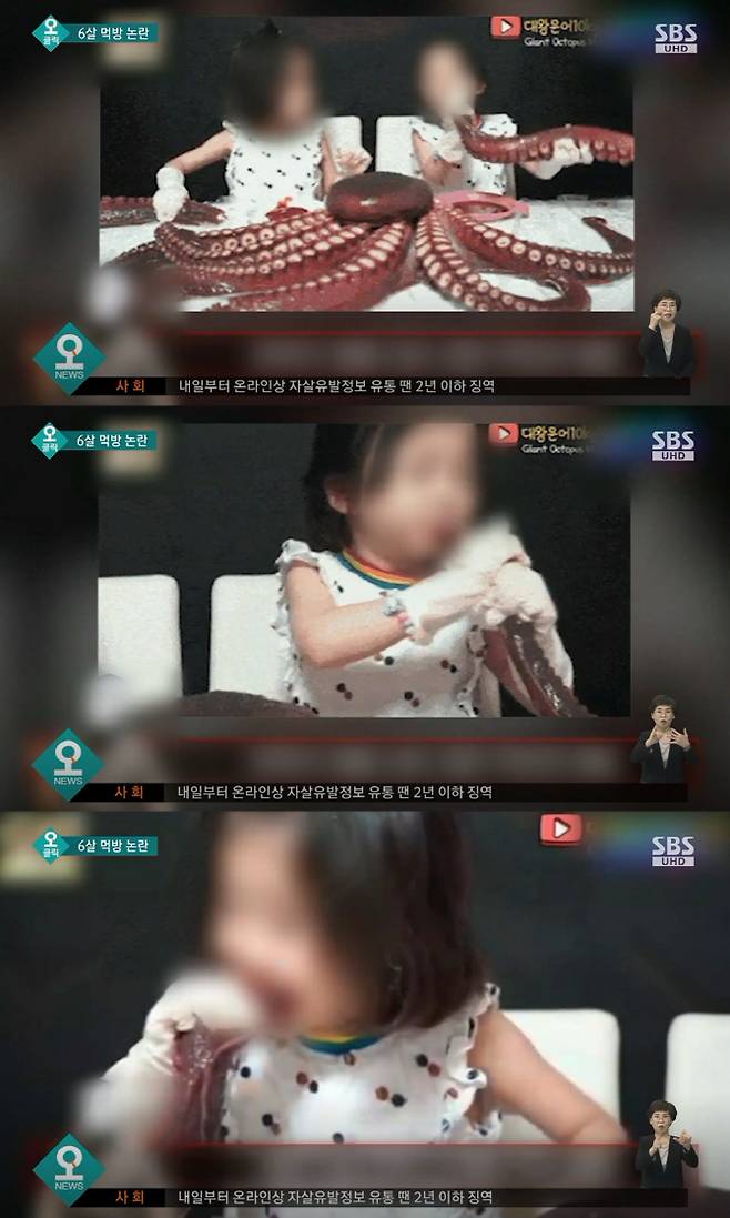 ‘뚜아뚜지’의 대왕문어 먹방 유튜브 영상. (사진=SBS 뉴스 화면 캡처)