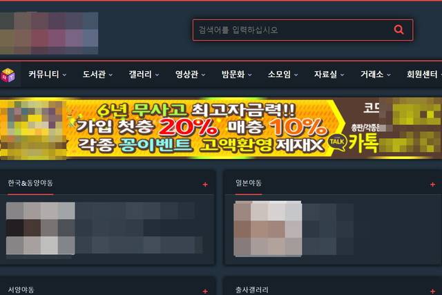 ▲ <프레시안>에 제보된 성인 사이트 화면 갈무리. ⓒ프레시안