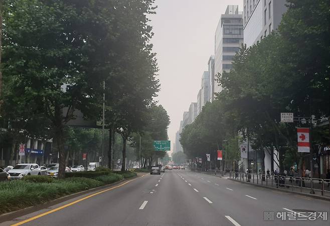 강남 테헤란로에 걸려 있는 세계 국기들. [강남구 제공]