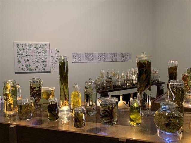 백남준아트센터 ‘생태감각’ 전시 중 이소요의 ‘TV정원: 주석’. 센터 1층에 설치된 백남준 작품 ‘TV 정원’ 속 식물을 채취해 재해석한 작품이다. 백남준아트센터 제공