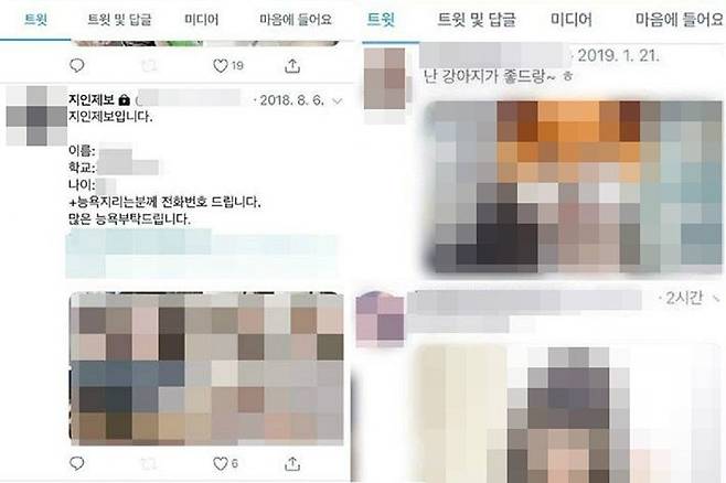 (사진=트위터 화면캡처/자료사진)