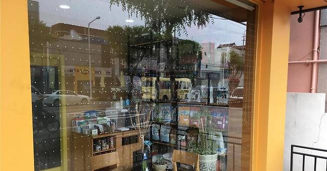 야생조류 유리창 충돌을 경험한 한 동물병원에서 아크릴 물감으로 유리에 도트 형 무늬를 그렸다.