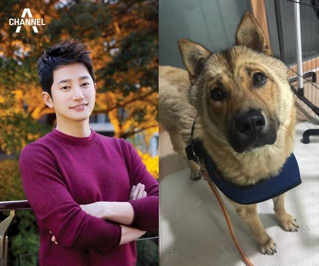박시후