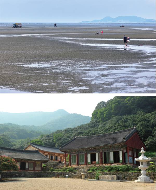 람사르습지로 지정된 고창 갯벌(위)과 고창의 명물 선운사.