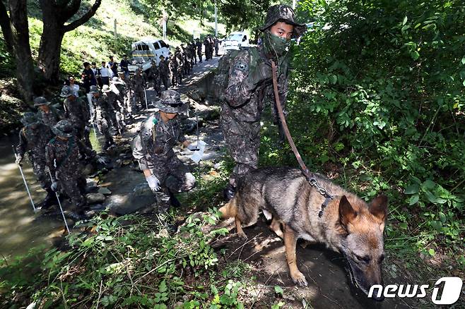 산악수색 작전에 특화된 특공대와 기동대 장병들이 30일 오후 충북 청주시 상당구의 한 야산에서 실종된 조은누리양(14) 수색작업에 투입되고 있다. 2019.7.30/뉴스1 © News1 김용빈 기자