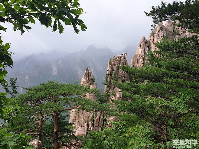 천화대 아래 바위군락