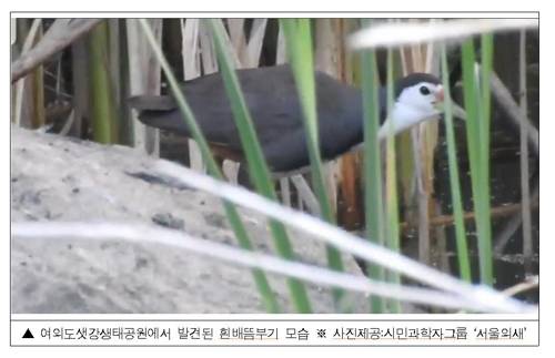 [서울시 제공]