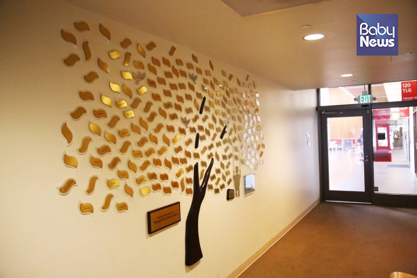 '스루더루킹글래스'(TLG) 입구 벽면에는 기부자들의 이름이 적힌 나무 모양의 전시물이 있다. 김동완 기자 ⓒ베이비뉴스