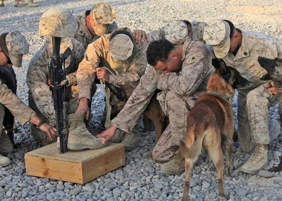 이라크에서 급조폭발물(IED) 해체작업에 참가했던 미국 해병대의 군견병이 사망하자 동료 해병들과 군견이 슬퍼하고 있다. 2003년 이라크전은 미국의 군산복합체가 일으킨 전쟁으로 보는 견해가 있다. [사진 미 해병대]