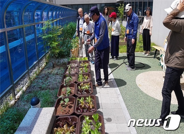 식물원으로 변신한 수정구보건소 치매안심센터 장미정원 모습.(성남시 제공) © News1