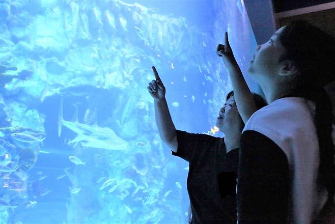 맥심 온라인 커뮤니티 회원과 복지관 아이들이 서울 잠실 롯데월드 아쿠아리움을 견학하고 있다. © 뉴스1