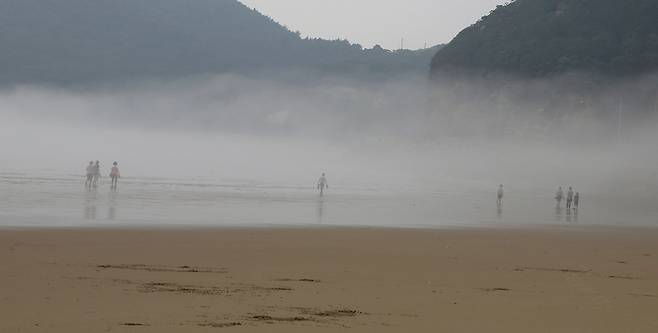 해무가 불어오는 모래울해변 풍경. 김선식 기자