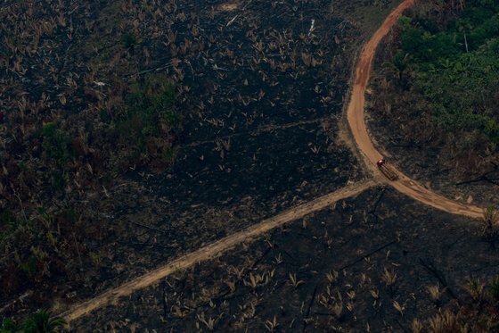 브라질 보카 도 아크레 산불 피해 지역에 난 도로를 벌목 트럭이 지나고 있다. [AFP=연합뉴스]