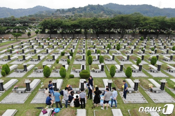 (인천=뉴스1) 박세연 기자 = 추석을 앞둔 8일 인천시 인천가족공원묘지를 찾은 시민들이 성묘를 하고 있다. 2019.9.8/뉴스1 <저작권자 © 뉴스1코리아, 무단전재 및 재배포 금지>