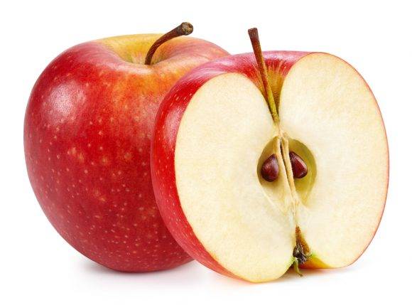 [사진=PixaHub/shutterstock]