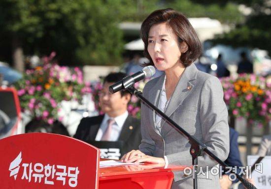나경원 자유한국당 원내대표가 18일 서울 종로구 청와대 분수대 앞에서 열린 당대표 및 최고위원-중진의원 연석회의에서 발언하고 있다. /문호남 기자 munonam@