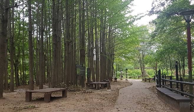 진관사 계곡 산책길. / 사진 = 오진영 기자