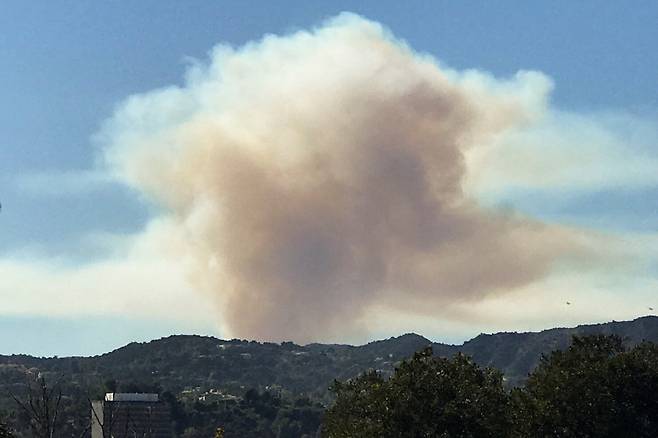 미국 캘리포니아주 샌타모니카 북쪽 퍼시픽 팰리세이즈에서 산불이 발생해 연기가 치솟고 있다. /사진=로이터
