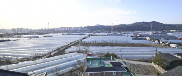 남양주 왕숙 신도시 전경./서울경제DB