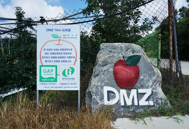 6차
 산업 인증사업자 중 한 곳인 경기 파주시의 ‘DMZ 1km 사과농원’은 청정지역에서 재배한 당도 높은 사과와 함께 사과 따기 
체험 코스로도 인기가 높다. DMZ 1km 사과농원 제공